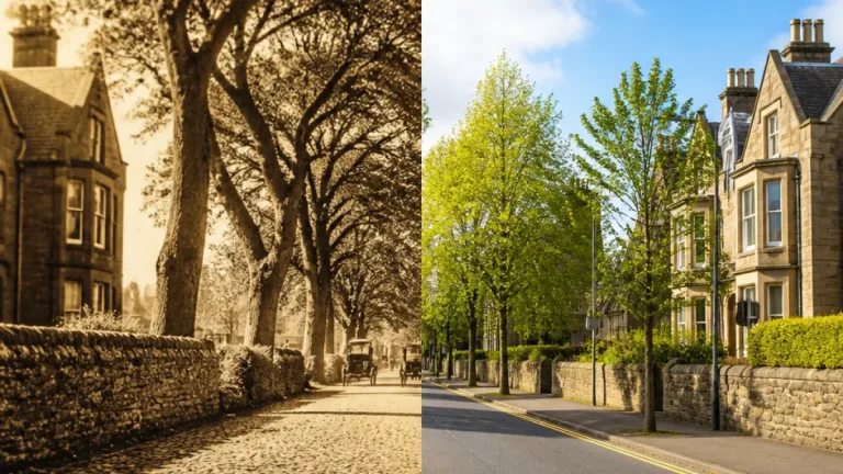 Greenock street’s enduring charm revealed in then-and-now photos of Bedford Street