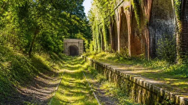 How a cancelled Tube extension turned Crouch End’s lost railway into London’s longest nature reserve