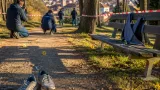 Aggressione in un parco a Luserna: imputato scarcerato poi irreperibile, indagini in corso