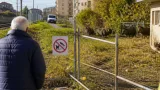 Allarme cinghiali ad Alessandria: avvistamenti nel quartiere Cristo, attivati controlli