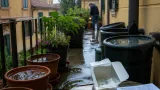 Allarme zanzare in provincia: l’Ausl ricorda di ripetere i trattamenti larvicidi dopo la pioggia