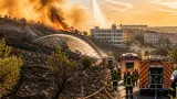Allerta incendi: 45 interventi a Trieste, vigili del fuoco sotto pressione