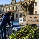Petizione nazionale chiede divieto di capitozzature e istituzione del Garante del Verde