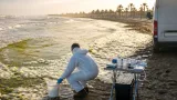 Arpa Lazio: schiume e acqua verdastra sul litorale, colpa di fioriture di microalghe