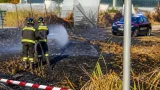 Arrestato a Jesolo il presunto piromane: 17.000 m² di vegetazione distrutti a Ceggia