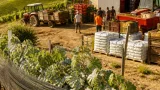 Asti, appello urgente: i produttori chiedono di anticipare la vendemmia del Moscato