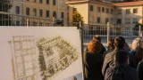 Avellino, il nuovo Consorzio Olio Campania IGP: Veronica Barbati guida la sfida per il riconoscimento