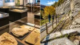Bolca e Roncà, il patrimonio fossile veronese che racconta mari e climi di 40 milioni di anni fa