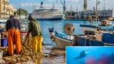 Brindisi in prima serata di mare: il porto, la pesca e i fondali al centro di Linea Blu