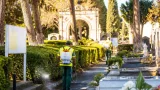 Cagliari, zanzare positive alla West Nile: proseguono le disinfestazioni e controlli