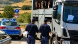 Caltanissetta, sequestro sulla SS 640: autocarro con quattro cavalli viaggiava con licenza per piante
