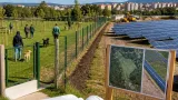 Carbonia, parco fotovoltaico vicino al canile: i gestori chiariscono lavori e benefici