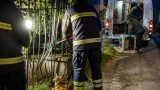Cerbiatto incastrato in una cancellata a Modena: salvato dai Vigili del Fuoco