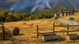 Coldiretti chiede lo stato di calamità per il Vco: agricoltura e alpeggi in crisi per la siccità