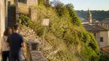 Colle della Cattedrale trascurato: interrogazione sullo stato di sterpaglie e decoro a Viterbo