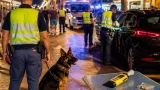 Controlli anti-movida a Cervia e Milano Marittima: oltre 600 persone identificate in tre serate