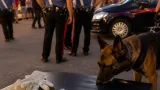 Controlli antidroga a Occhiobello: due giovani segnalati, complessivi 5,68 grammi rilevati