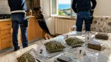 Controlli tra Vibo Marina e Pizzo: arrestato sorvegliato speciale, sequestrati 500 grammi di droga