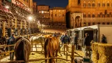 Dopo il Palio: associazioni chiedono tutele e stop alla macellazione dei cavalli