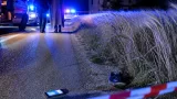 Foggia, arrestato un 21enne: minorenne vittima di violenza e abbandono nelle campagne