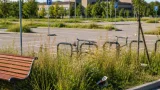 Forlì, erbacce oltre il metro nel nuovo parcheggio di viale Corridoni: segnalazione di degrado
