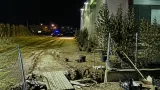 Furto in piena notte: spariscono sei ulivi secolari dalla Fioricoltura Loi di Santa Margherita