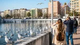 Gabbiani occupano la nuova piscina di corso Colombo: l'allarme sonoro non basta