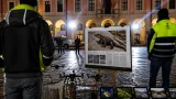 Il varano di Montichiari finisce sul Times: il caso diventa internazionale