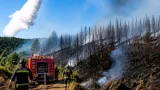 Incendio a Canossa: fiamme in bosco, bruciati 5 ettari; intervengono Canadair e vigili del fuoco