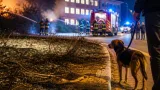 Incendio vicino a una scuola a Frosinone: donna denunciata, fiamme spente dai Vigili del Fuoco