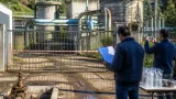 Indagine della Corte dei Conti: 600mila euro di presunto danno per le depurazioni in provincia