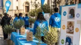 L'Ulivo dell'UNICEF torna nel Sannio: mobilitazione in 40 Comuni per i bambini nelle emergenze