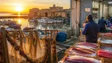 La filiera del tonno nel Trapanese: tradizione, trasformazione e sfide della Blue Economy