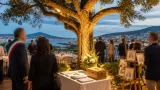 La Spezia celebra i 326 anni del leccio monumentale “La Gira”: serata istituzionale e solidarietà