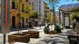 La Spezia: il caldo spinge cittadini a chiedere più alberi e ombra