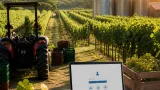 Lavoro a Pisa e provincia: agricoltura in testa e accesso solo con SPID alla settimana 29