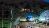 Lupo vicino alle case di Baveno: sbranate due capre, allarme tra gli allevatori