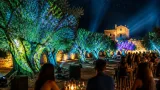 Nella cornice degli ulivi: ad Andria un concerto immersivo con videoproiezioni e aperitivo