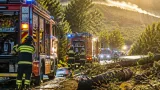 Notte di vento e pioggia: circa 25 interventi dei Vigili del Fuoco nel Grossetano
