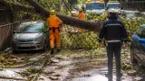 Nubifragio a Benevento: alberi caduti, strade temporaneamente bloccate e squadre comunali al lavoro