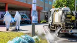 Oristano, salgono a 6 i casi di West Nile in provincia: attivate misure di prevenzione