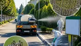 Padova: un caso di Dengue, scattano disinfestazioni in zona Terranegra e Piove di Sacco
