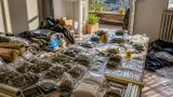 Pescara: arrestato 50enne con oltre 1,6 kg di droga, sequestri nei Colli