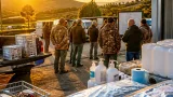 Peste suina, i cacciatori chiedono contributi e sicurezza: «momento cruciale»