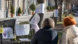 Protesta sul verde cittadino: cartelli contro lo sradicamento dei melograni e dei ciliegi