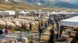 Rassegna Ovini di Campo Imperatore: successo e rilancio per la zootecnia montana