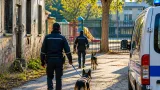 Ravenna attiva un'unità cinofila della Polizia locale per controllare scuole, parchi e il futuro ostello