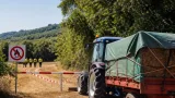 Reggio Emilia: preallarme incendi boschivi prorogato fino al 16 agosto, cosa cambia