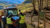 Regione approva gestione del cinghiale: Coldiretti chiede interventi stabili per la Lessinia e il Baldo