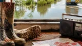 Regione dichiara stato di crisi: Ferrara e 19 comuni ferraresi fra i territori colpiti